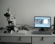 反光电子显微镜